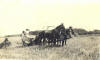 The farm that Grandma Jean lived on as a girl
